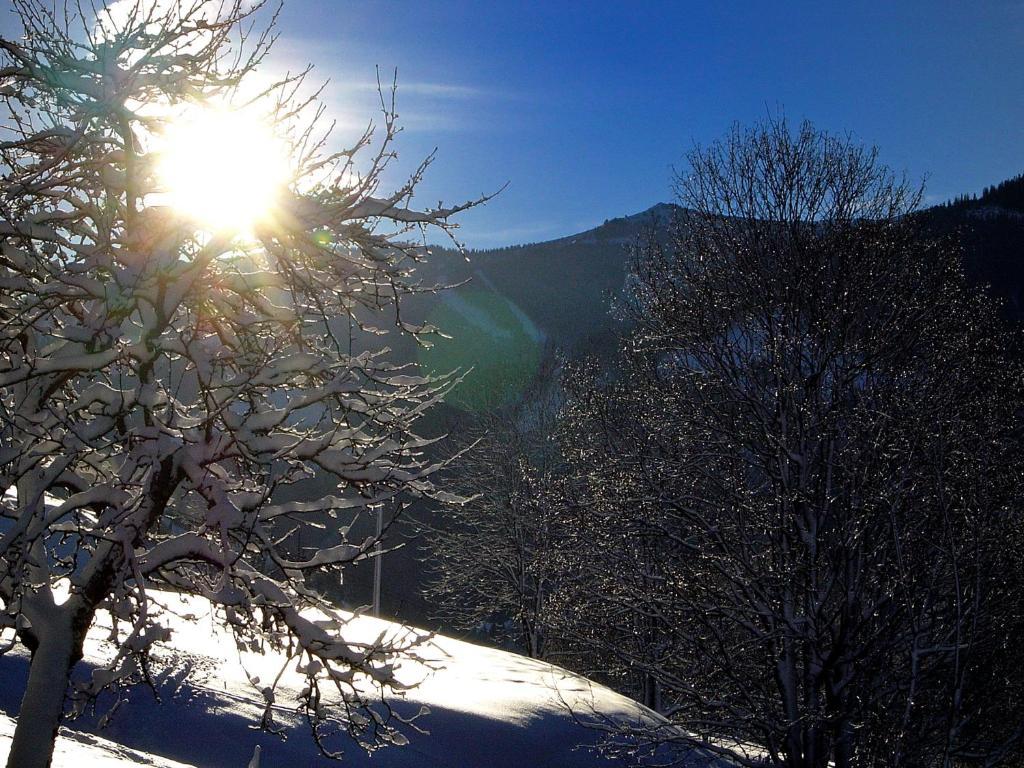 Mh Appartement Hochwimmer Saalbach-Hinterglemm Kültér fotó